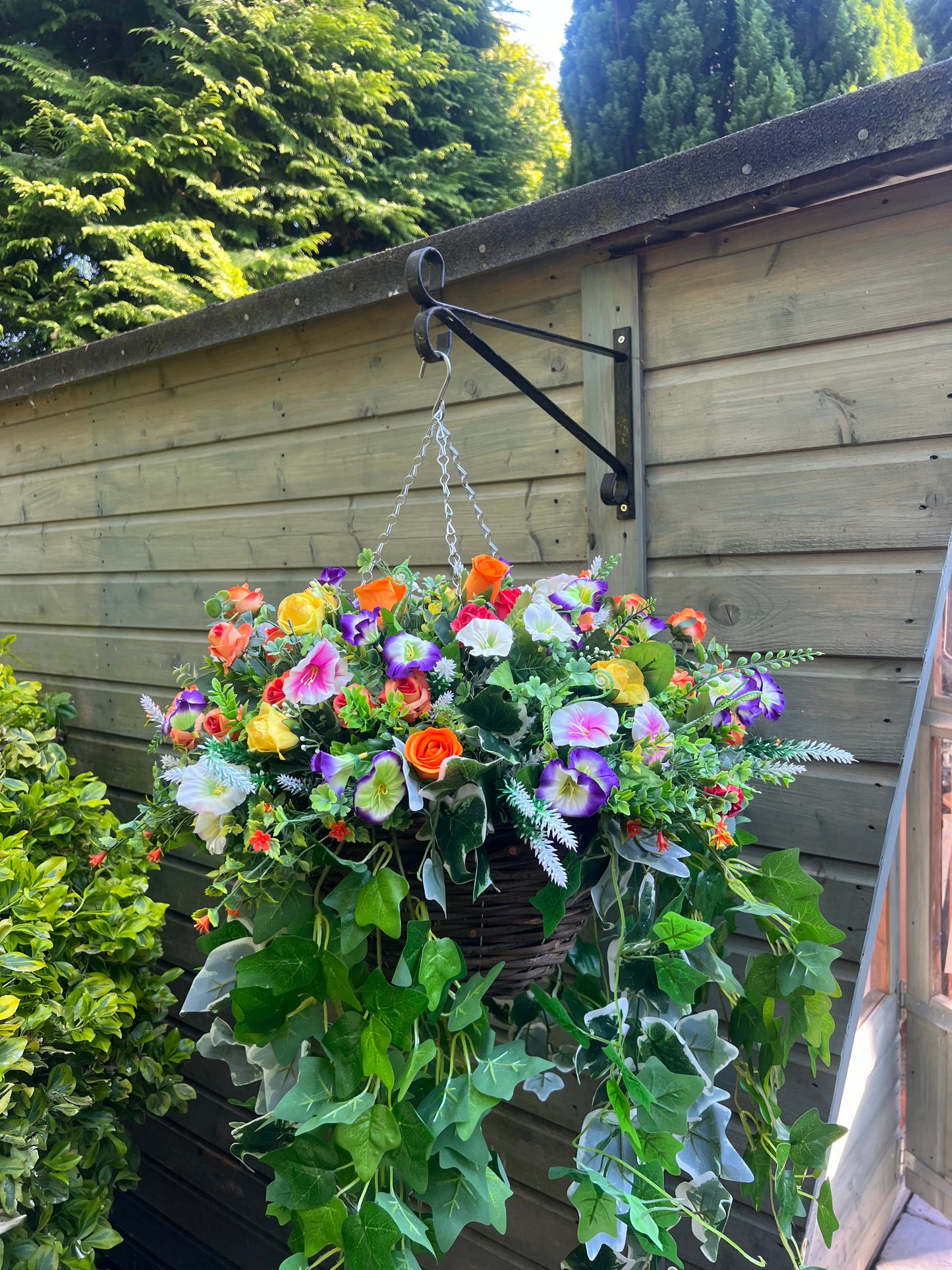 Sweet Caroline Hanging Basket